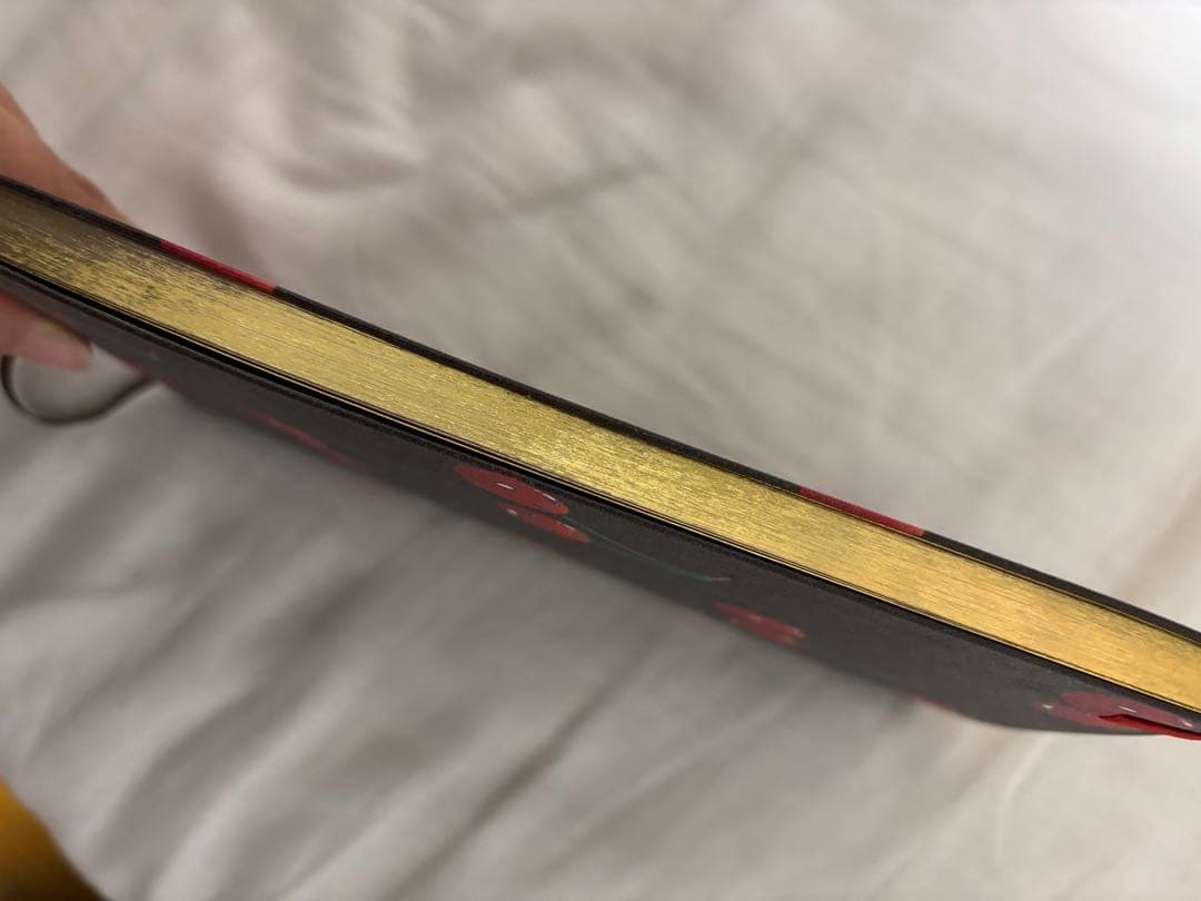 LV × TM ノートブックMM・ジェーン/チェリー/ルイ・ヴィトン×村上隆