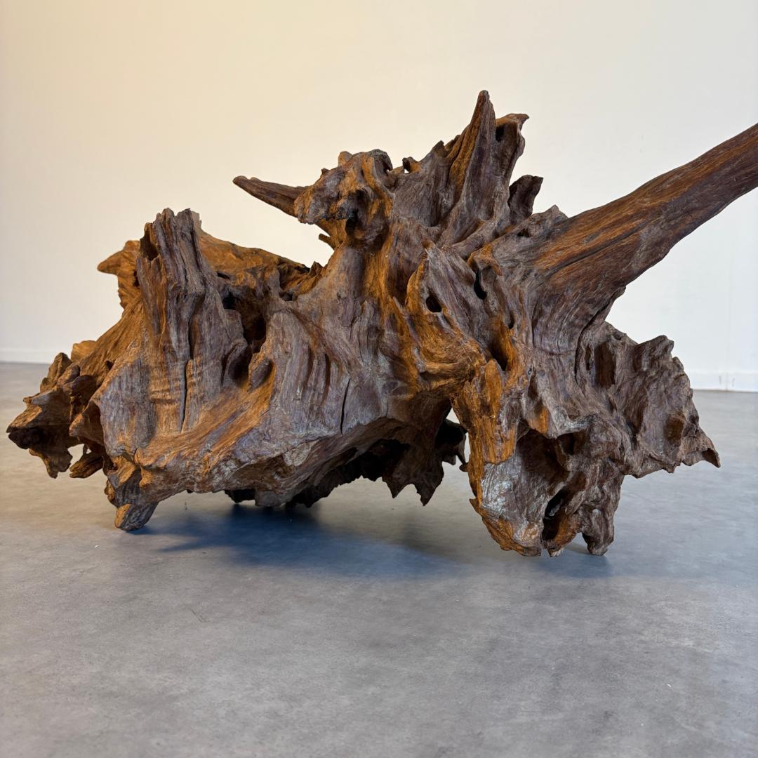 御神木　アート　インテリア　生花　オブジェ