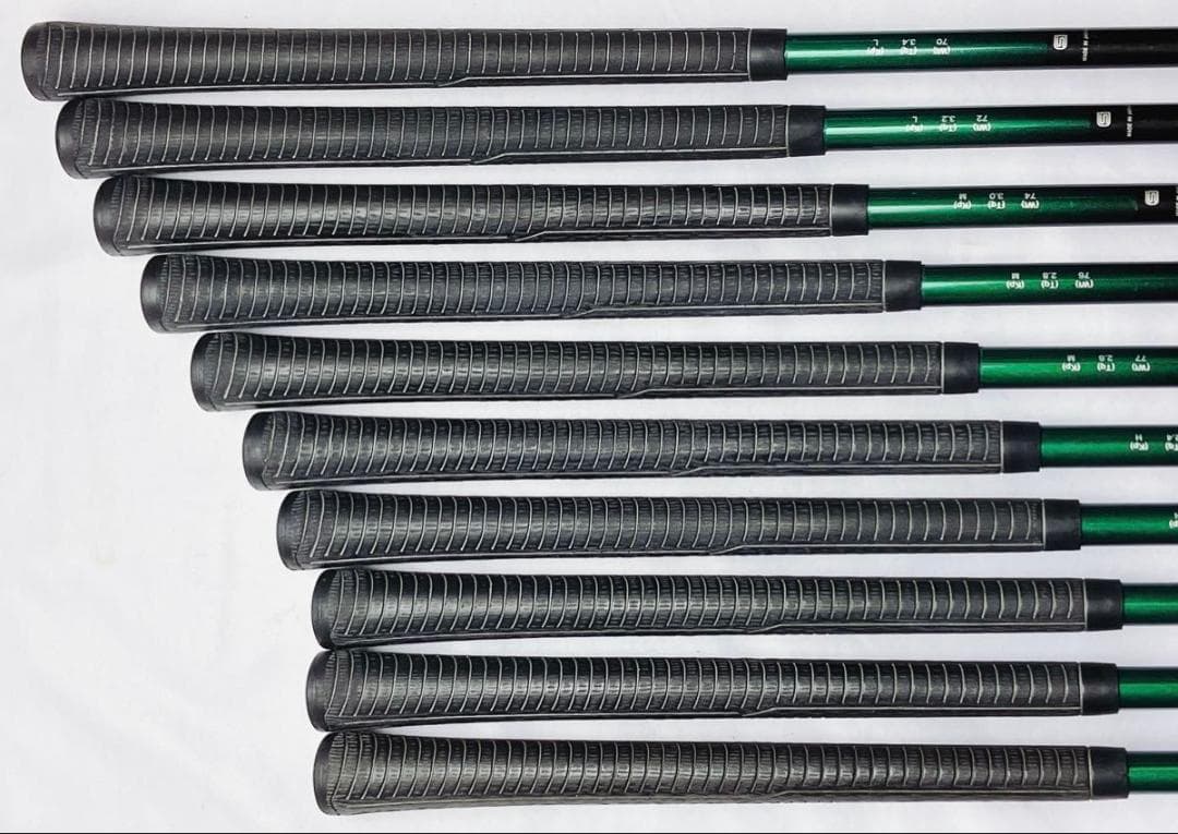 名器 プロギア DATA811 アイアンセット 右打ち 10本 メンズ ゴルフ