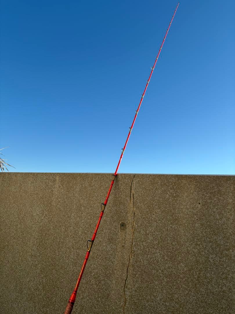 【剛樹】 Gエア 300 2.95M 錘負荷50-100号 GOUKI