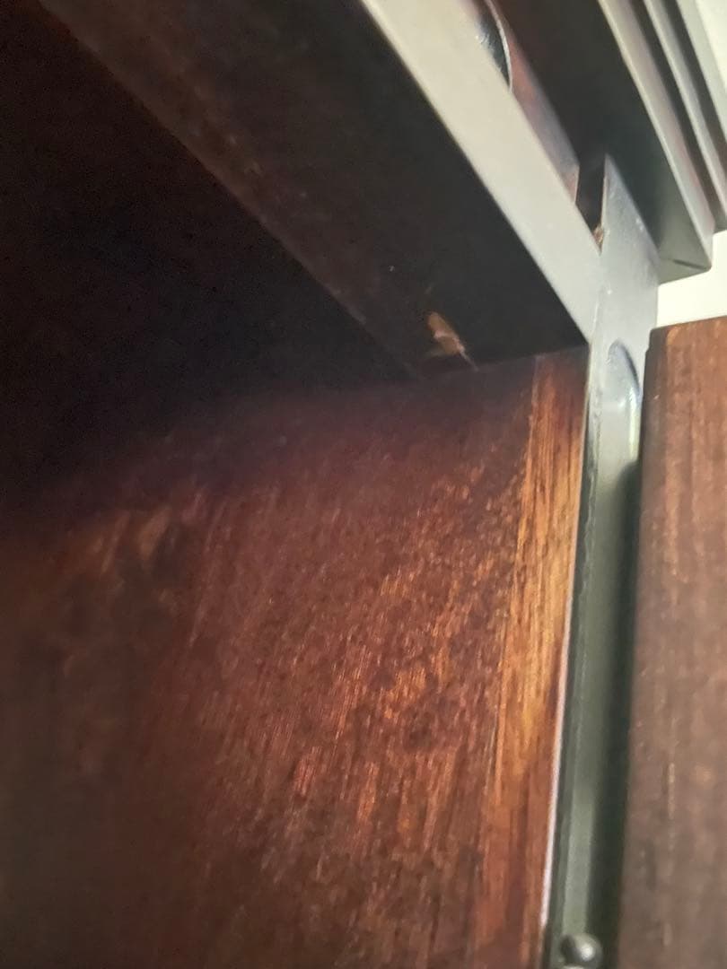 送料無料　北海道民芸家具/キャビネット/食器棚/本棚/カップボード