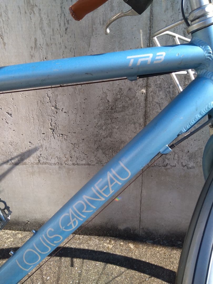 LOUIS GARNEAU ルイガノ　引取希望