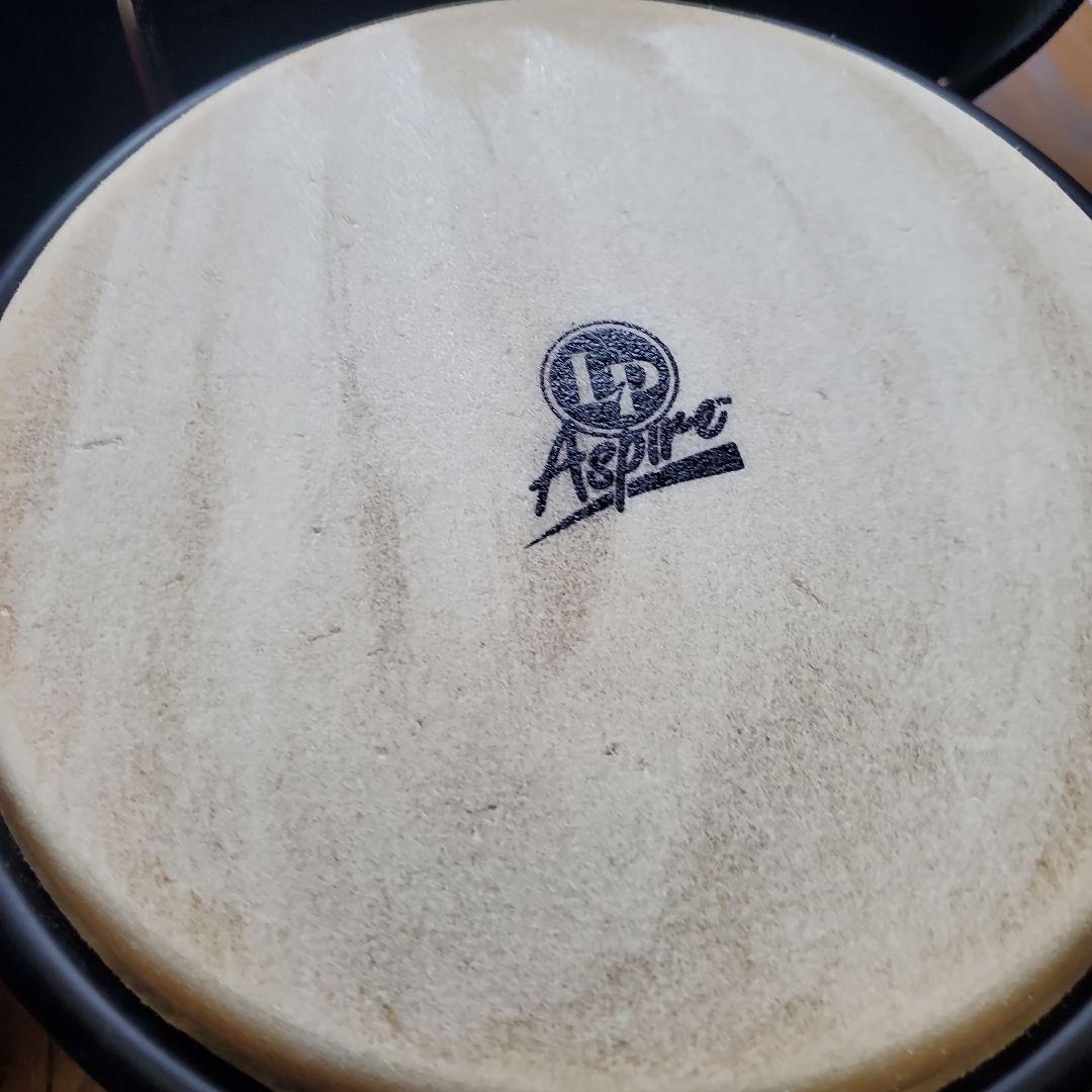 LP Aspire　Wood Bongo　ウッド　ボンゴ　キャリングバッグ付き