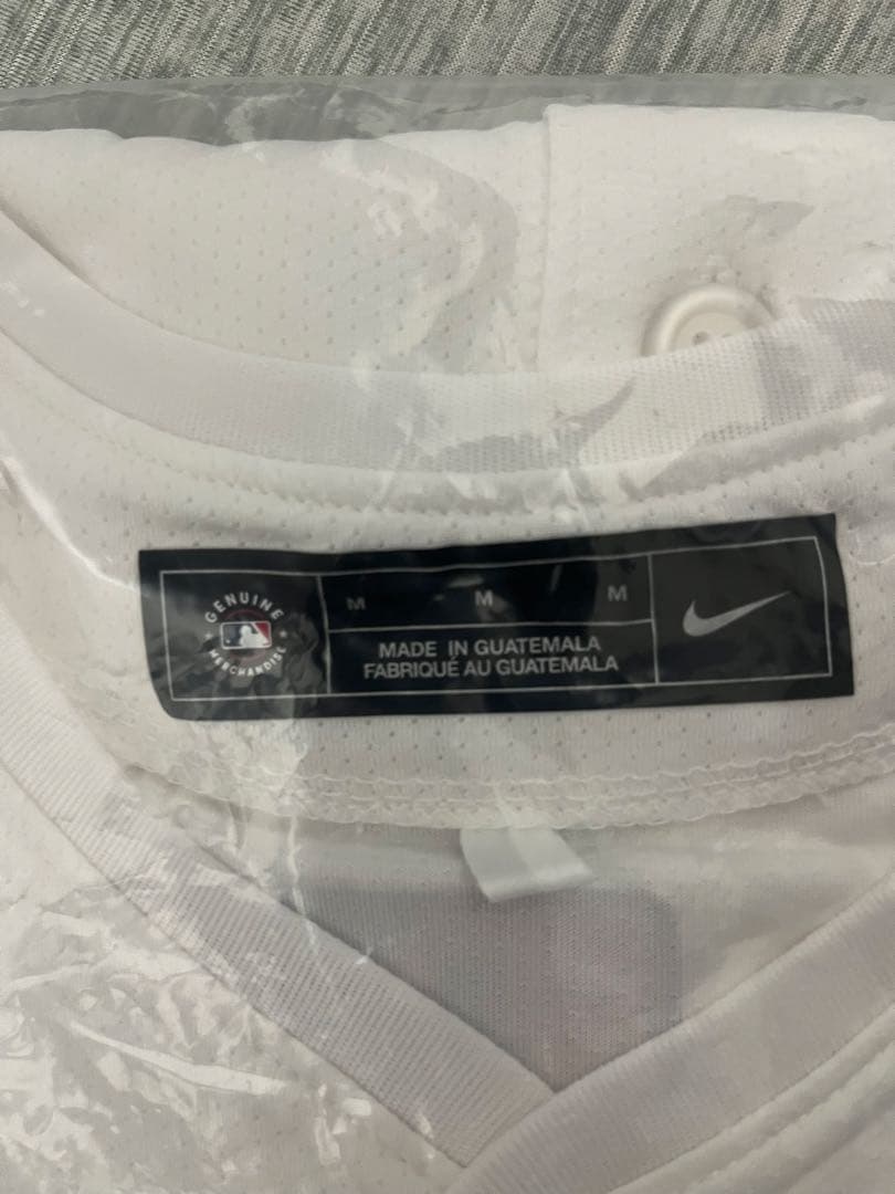 大谷翔平　ドジャース