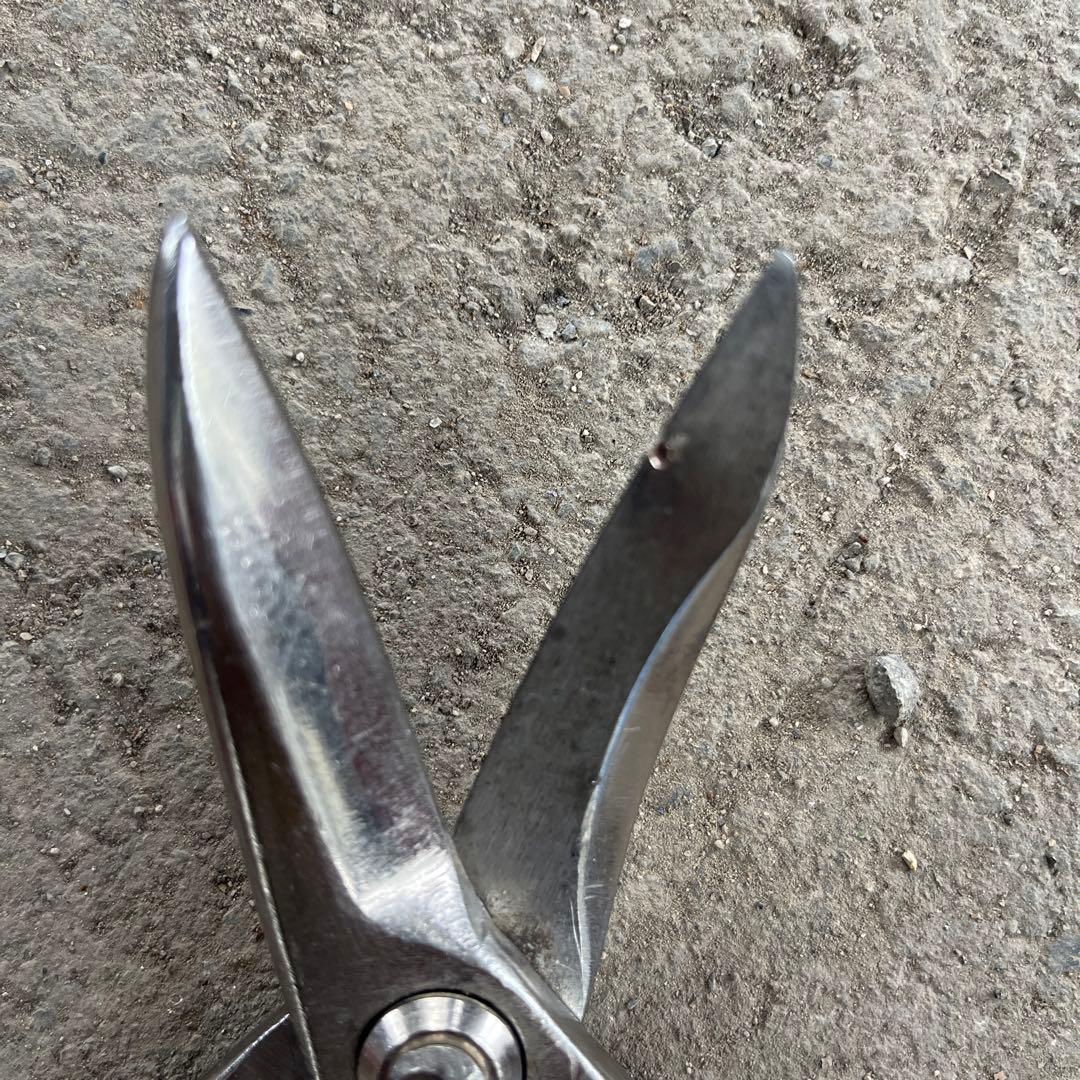 直徳プレミアムP1、刃こぼれあり、