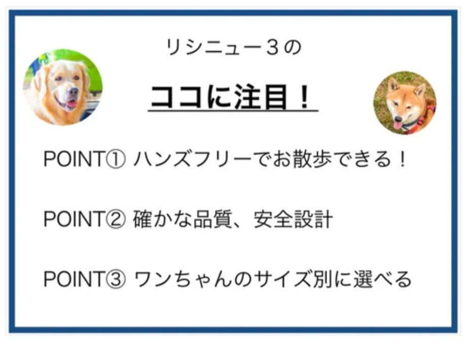 両手が使える犬用リード「リシニュー」