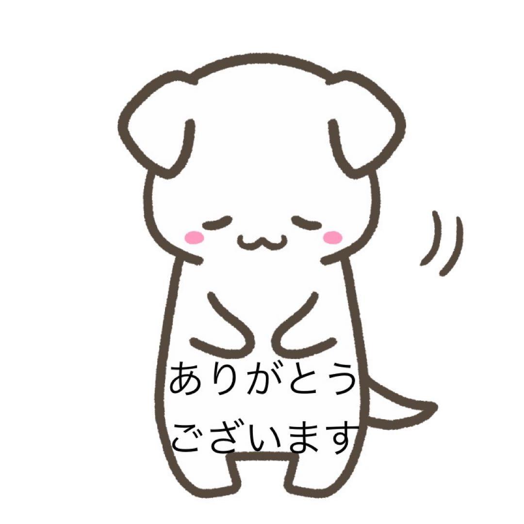 ドッグフード kochi