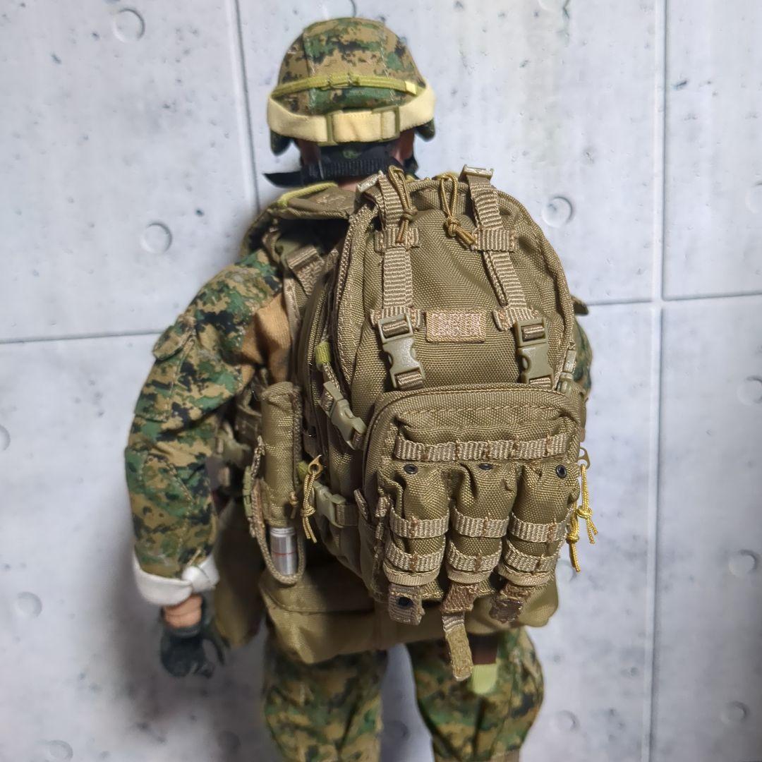 1/6 米海兵隊 第2海兵遠征旅団 アフガニスタン カスタム CS60