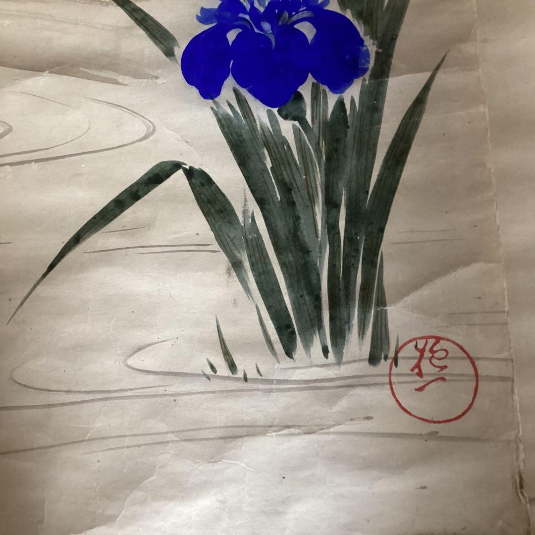 酒井抱一　紙本　捲り三幅　【桜に草花図、芥子の花、菖蒲図】落款印譜　模写108