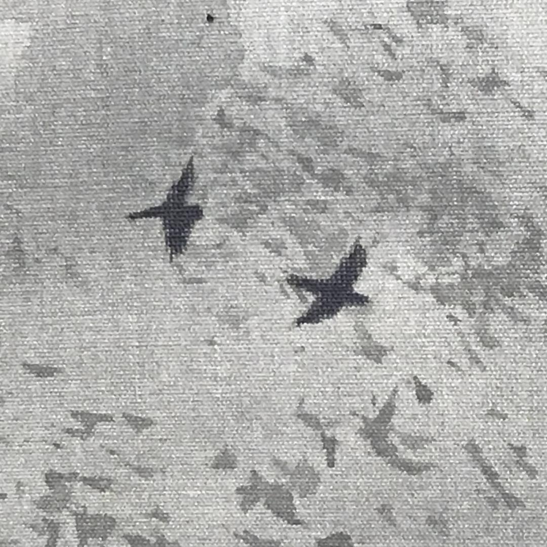 作者不詳/夏景山水図/山水図/山家図/掛軸/名家伝来/AE-122