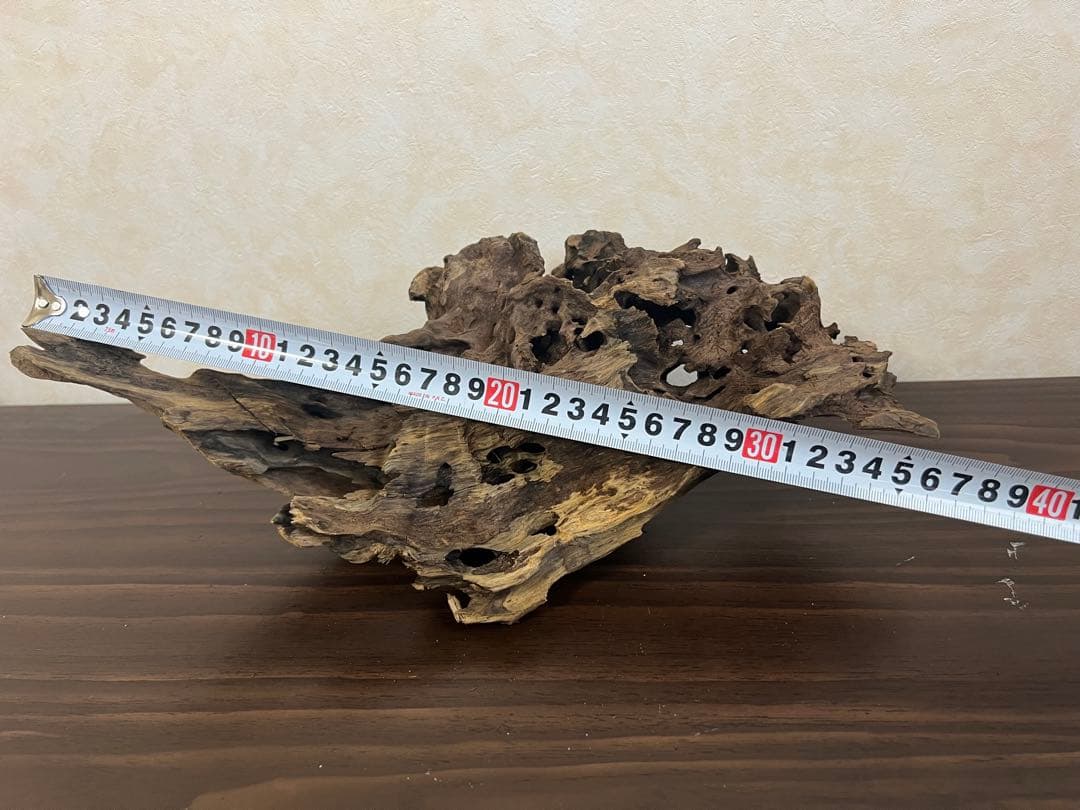 XM-307 流木　マシンガンウッド ブランチウッド　アクアリウム