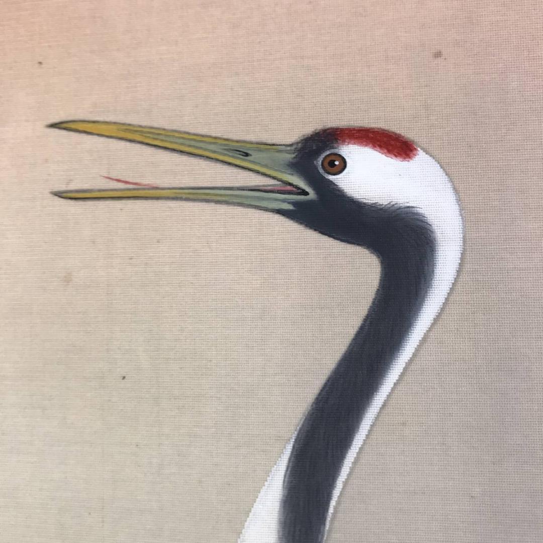 【真作】藤井春生/双鶴図/松上鶴図/横物/掛軸/名家伝来/AD-243