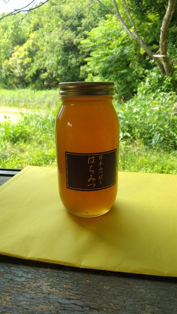 T.K プロフ　読んでくださいね　☆　ニホンミツバチ百花蜜