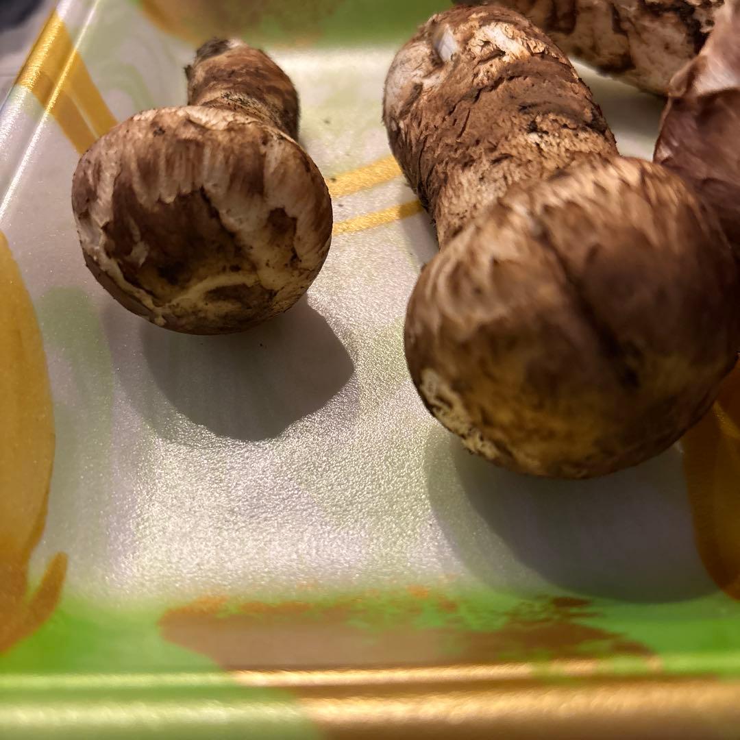 岩手県産　天然松茸