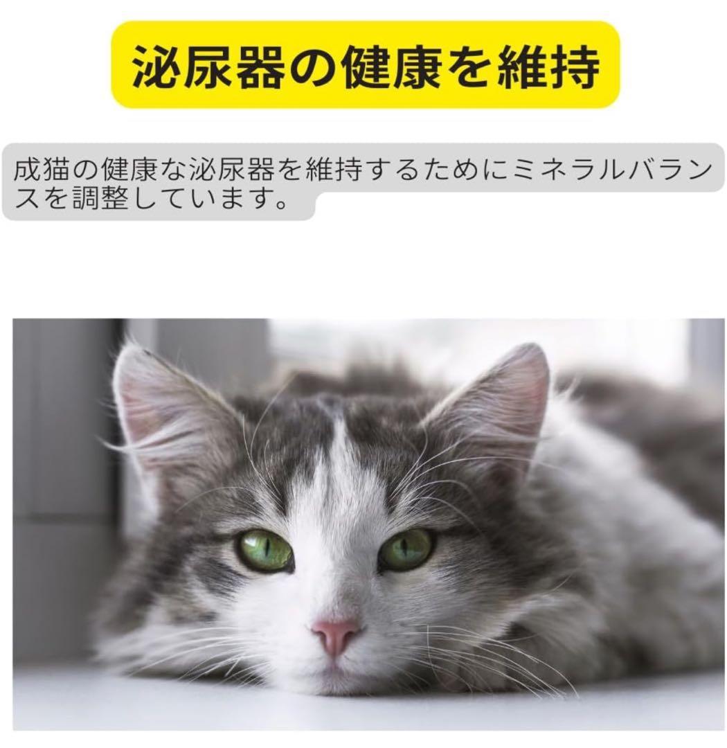 ロイヤルカナン ヘアボール ケア（毛玉が気になる猫用）成猫用 2kg × 2袋