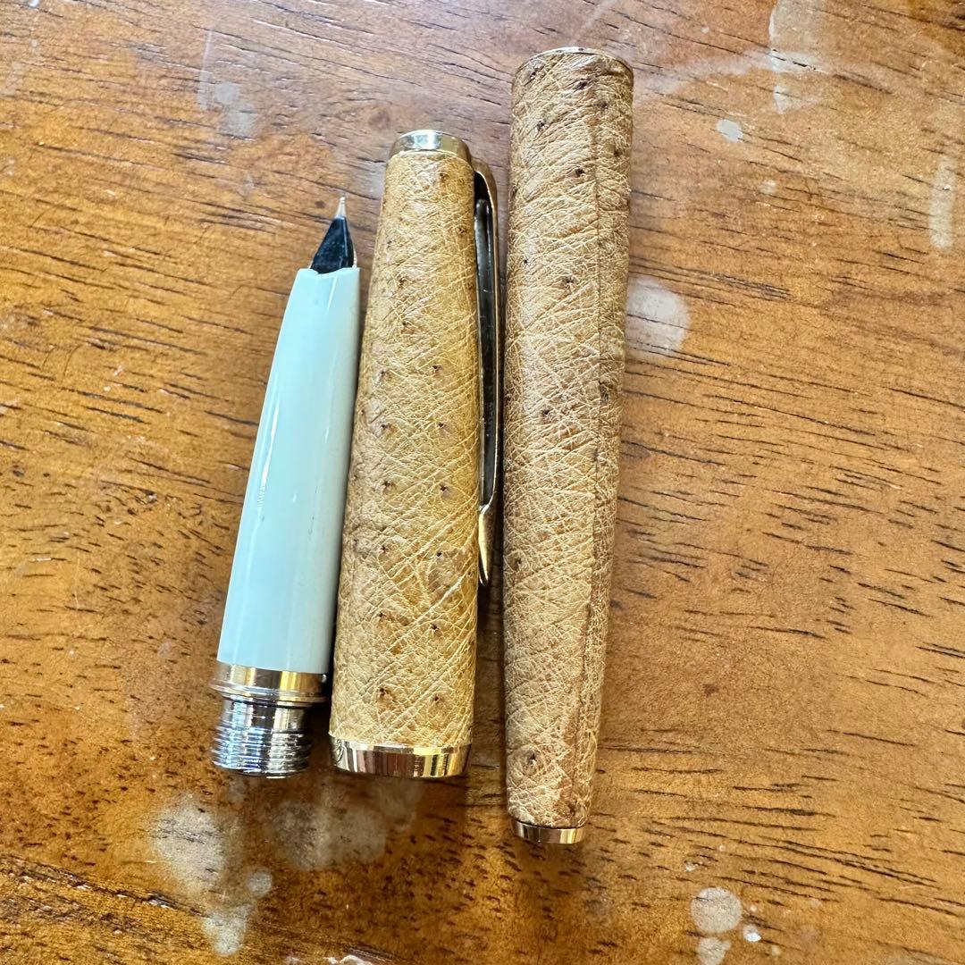 sailor セーラー　万年筆　オーストリッチ　茶　ペン先　18k ①