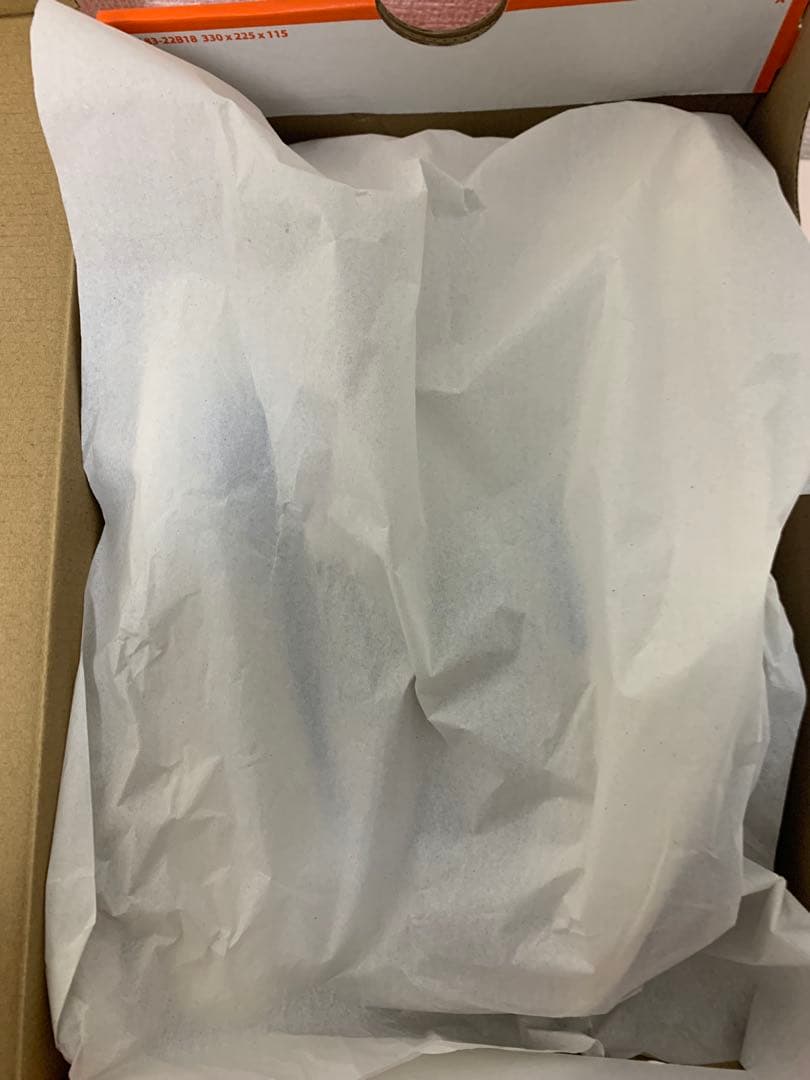 ペガサスプラス　27.5cm (着用2度、6km走)