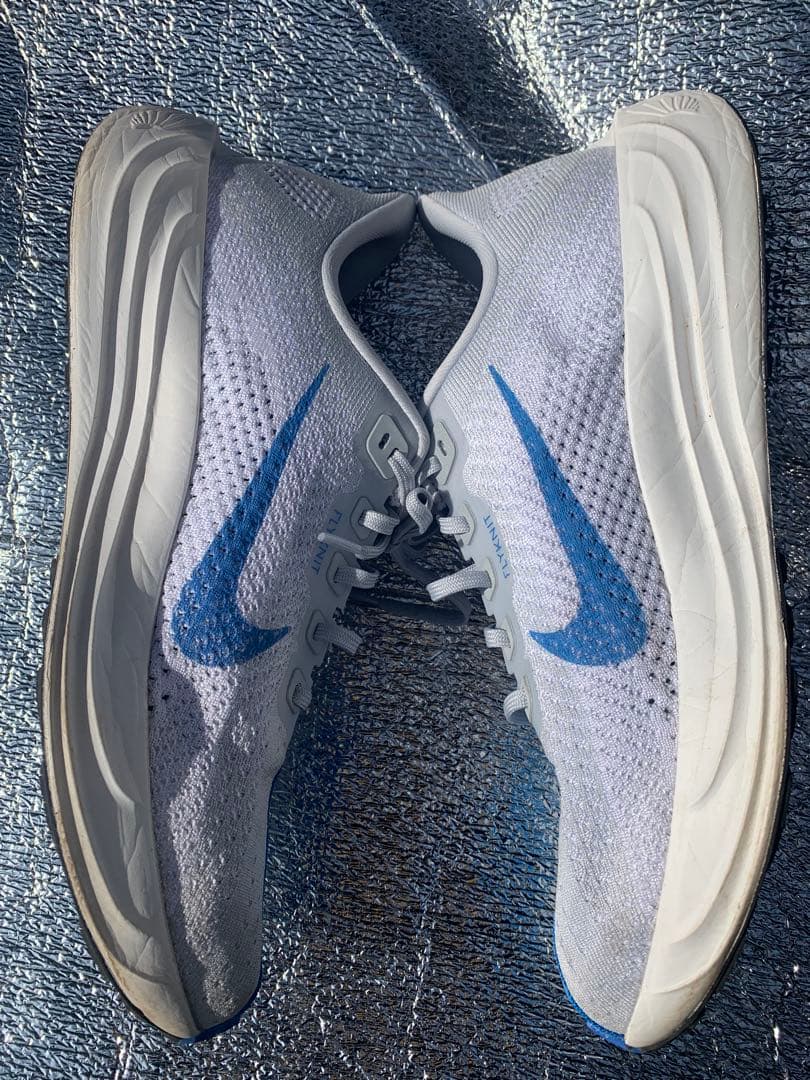 ペガサスプラス　27.5cm (着用2度、6km走)