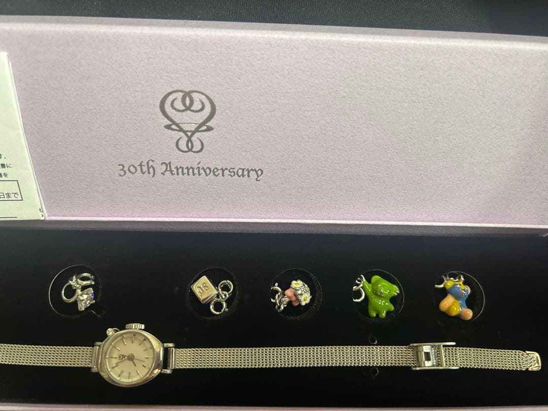藤井フミヤ 30Anniversary リストウォッチ 腕時計☆FC限定