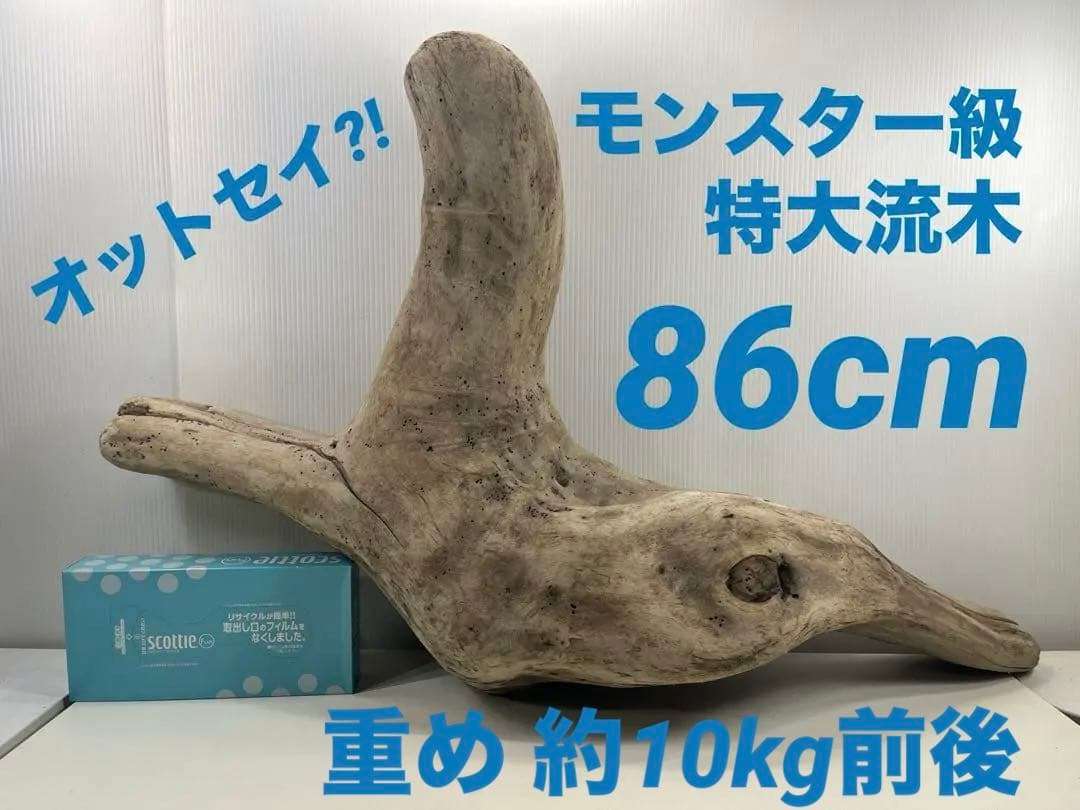 W29特大流木 アク抜き済み流木 爬虫類シェルター 登り木 インテリア 生け花