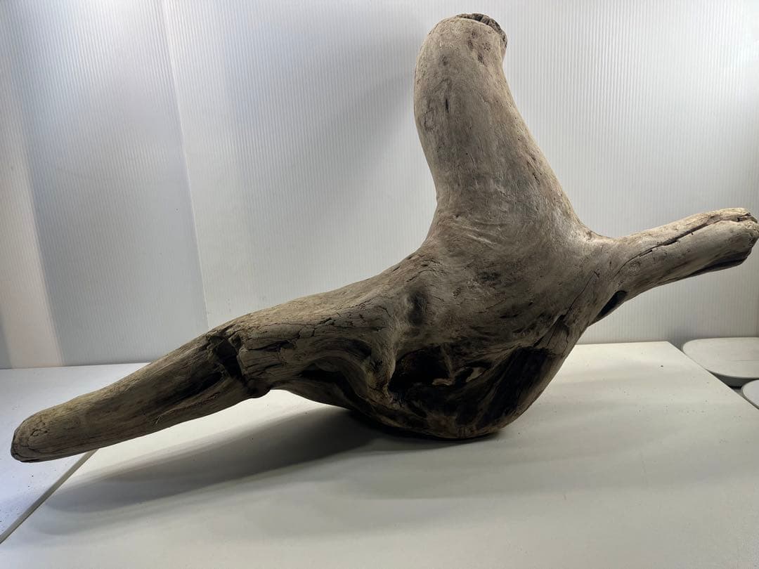 W29特大流木 アク抜き済み流木 爬虫類シェルター 登り木 インテリア 生け花