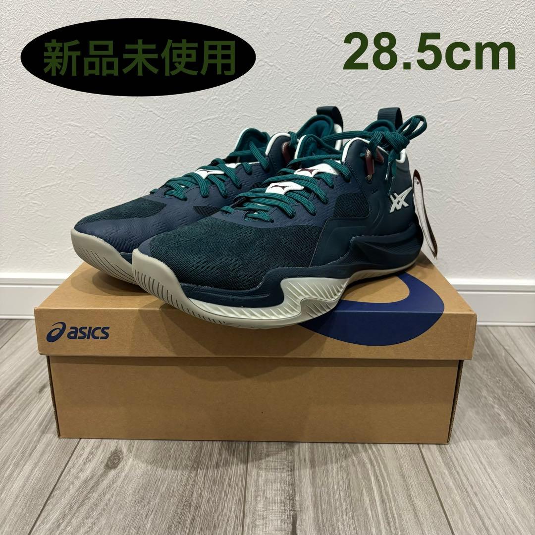 シューズ(男性用) NOVA SURGE LOW 2