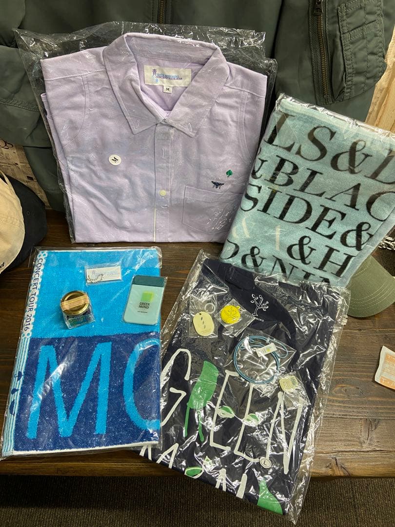 期間限定値引！秦基博/グリーンマインド/青の光景/ツアーグッズ/おまけ付き/希少