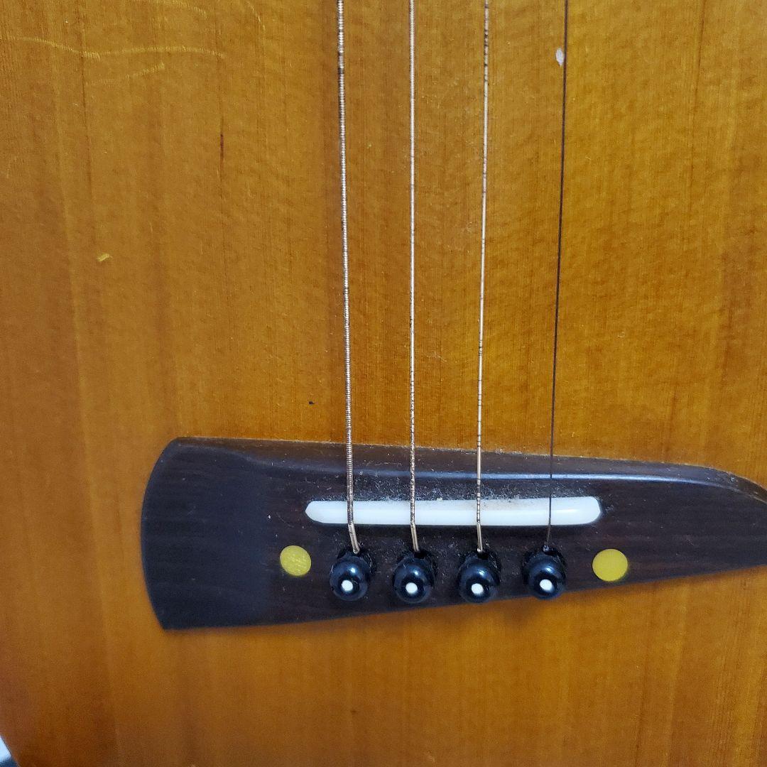 【美品★人気】ヤイリ 一期一会 音来(ニライ)