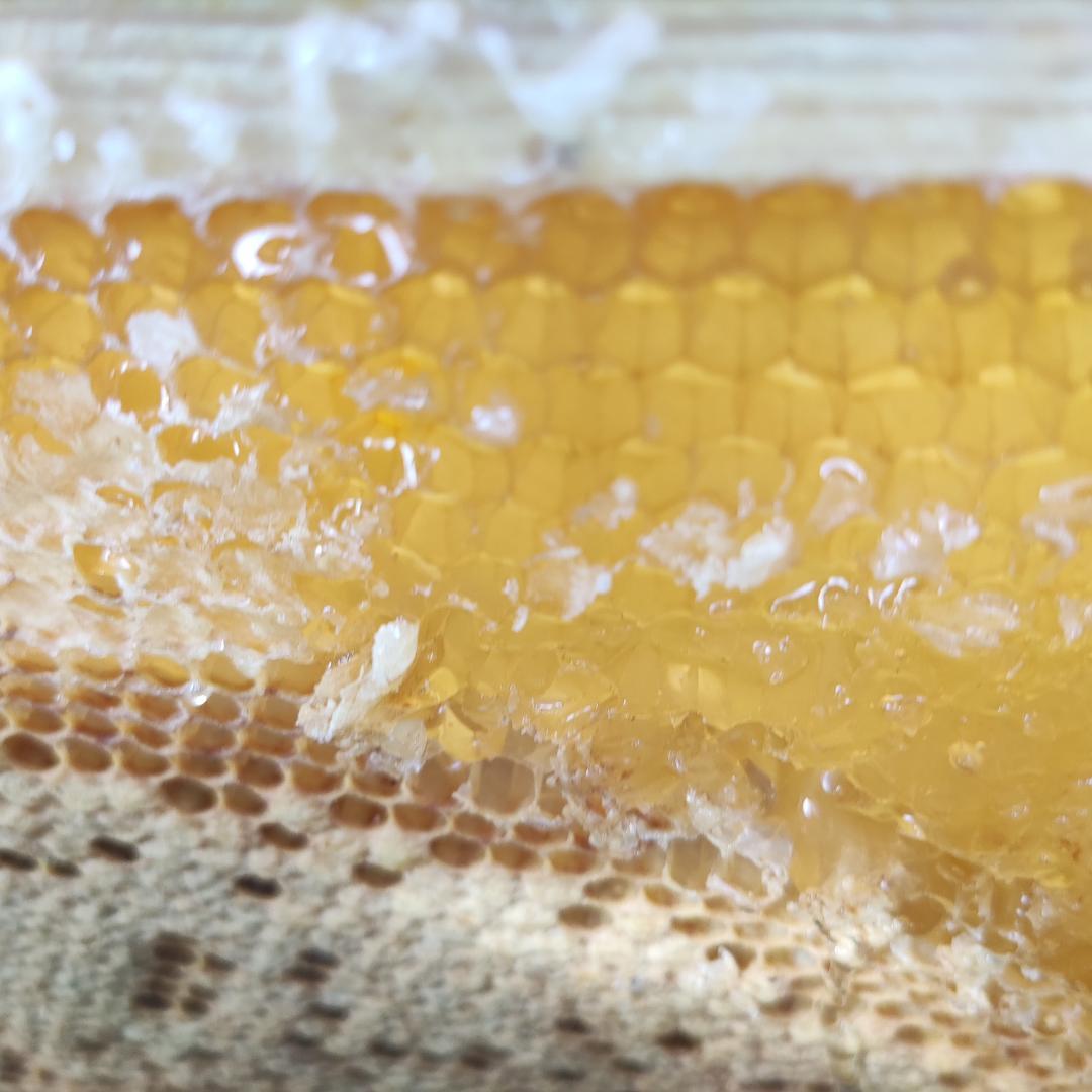 ✴️アカシア蜜５本&レンゲ蜜５本　生はちみつ　自家製蜂蜜