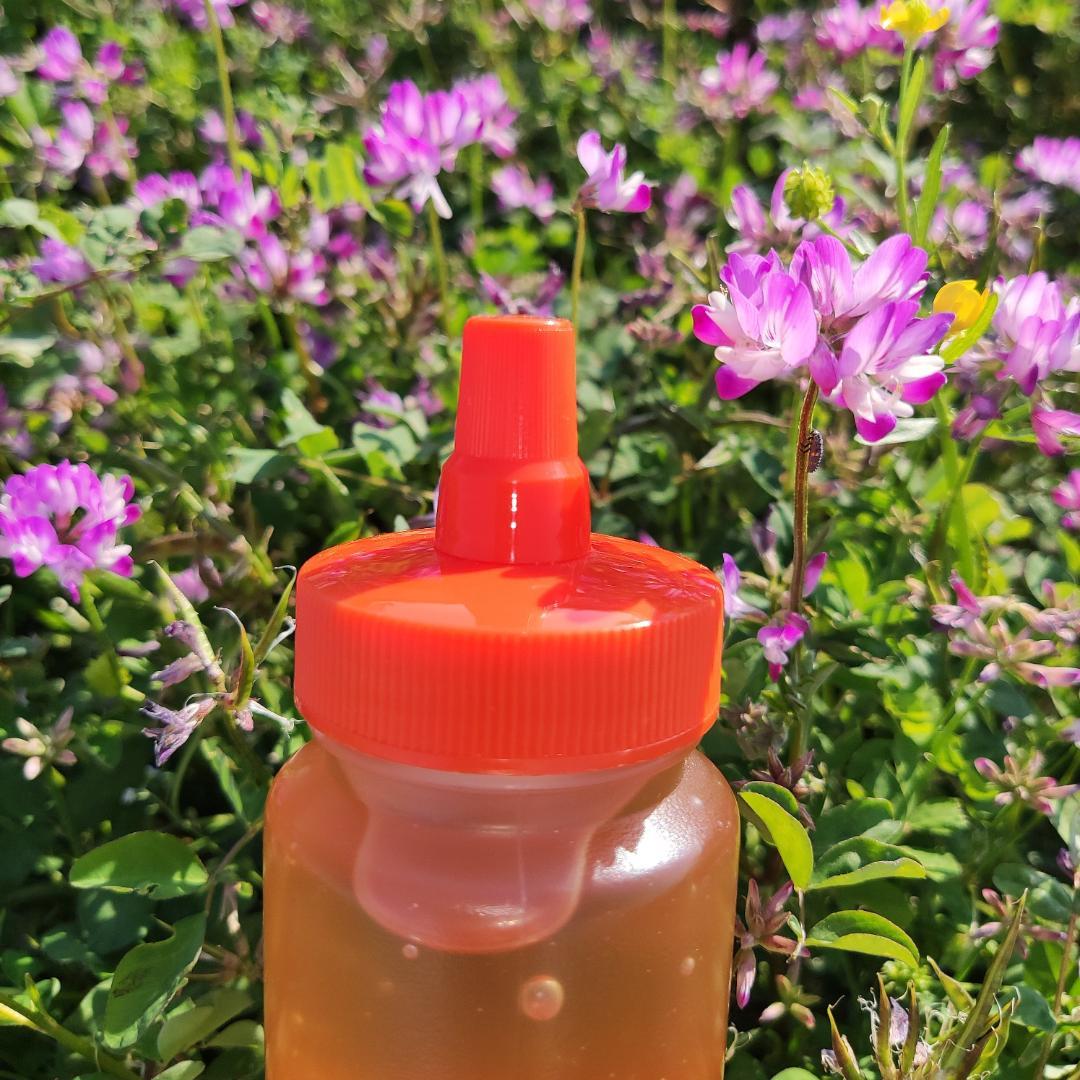 ✴️アカシア蜜５本&レンゲ蜜５本　生はちみつ　自家製蜂蜜