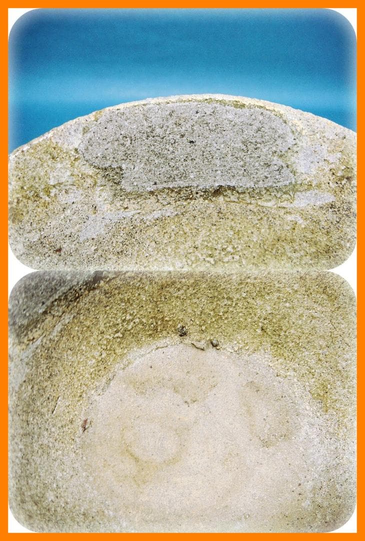 588『山茶碗』　/骨董品 古美術 古玩 アンティーク