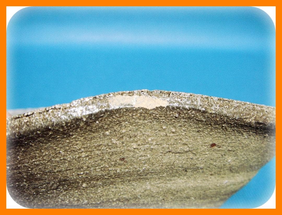 588『山茶碗』　/骨董品 古美術 古玩 アンティーク