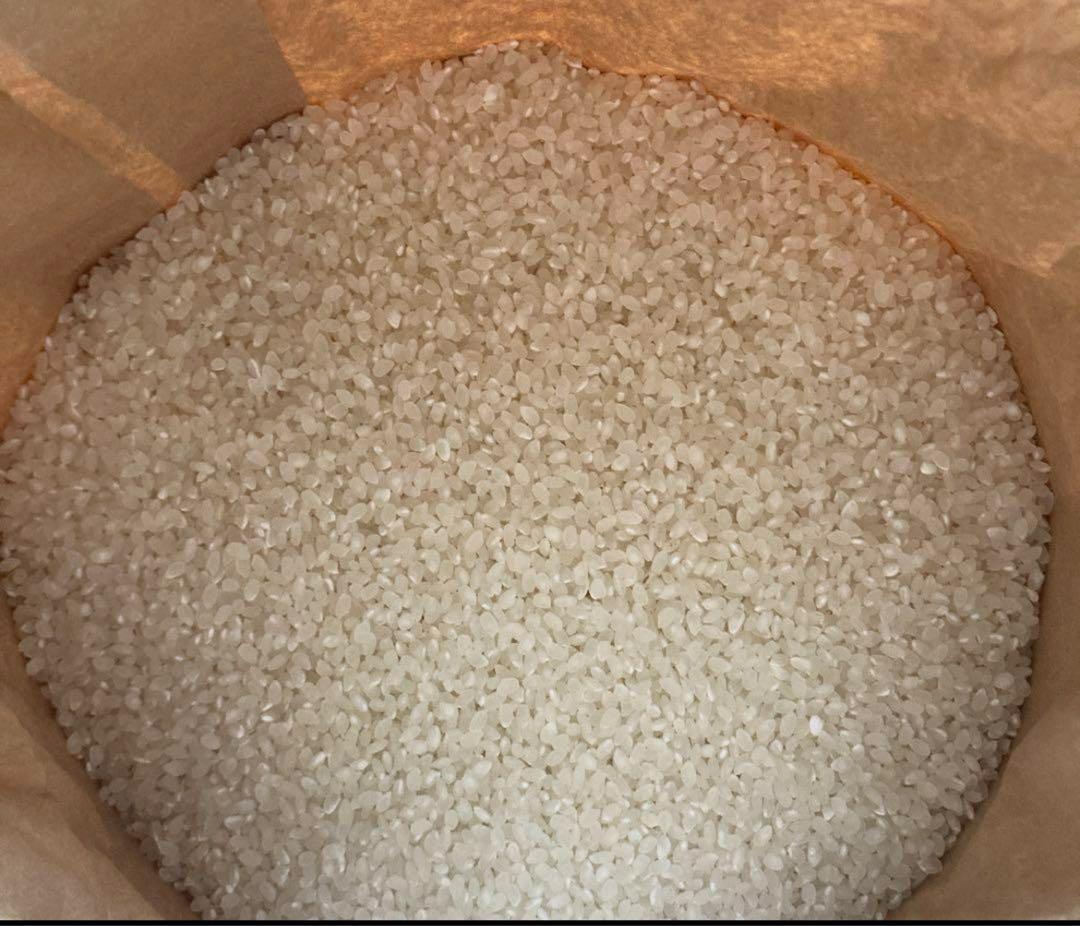 限定価格です。白米10kg