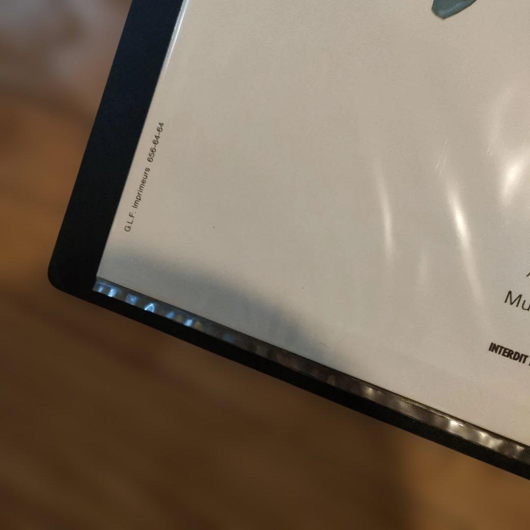 ナタリー・ドロン「新個人教授」本国フランスオリジナル映画ポスター