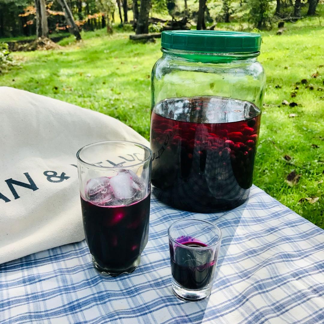 現在糖度20！もぎたてをお届け！スーパーフルーツ山葡萄10kg