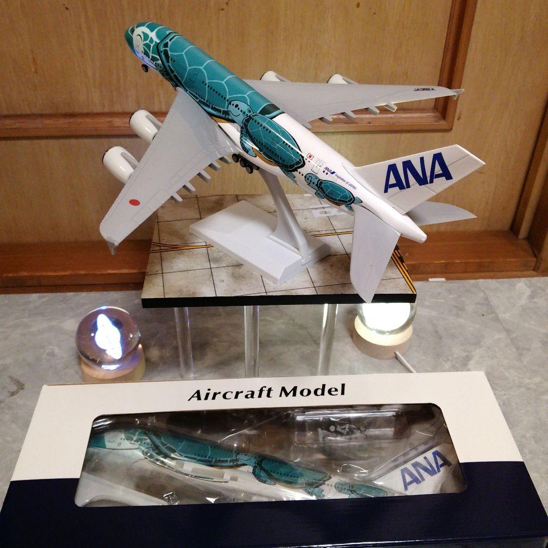 新型フライングホヌ／グリーン カイ君 約30cm