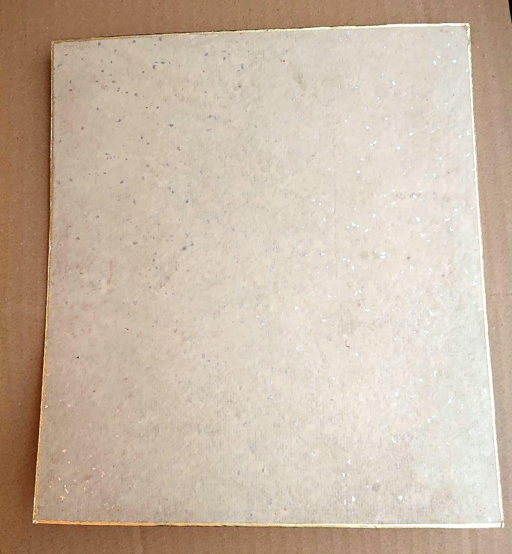 石ノ森章太郎 仮面ライダー サイン色紙 スカイライダー 石森章太郎 イラスト