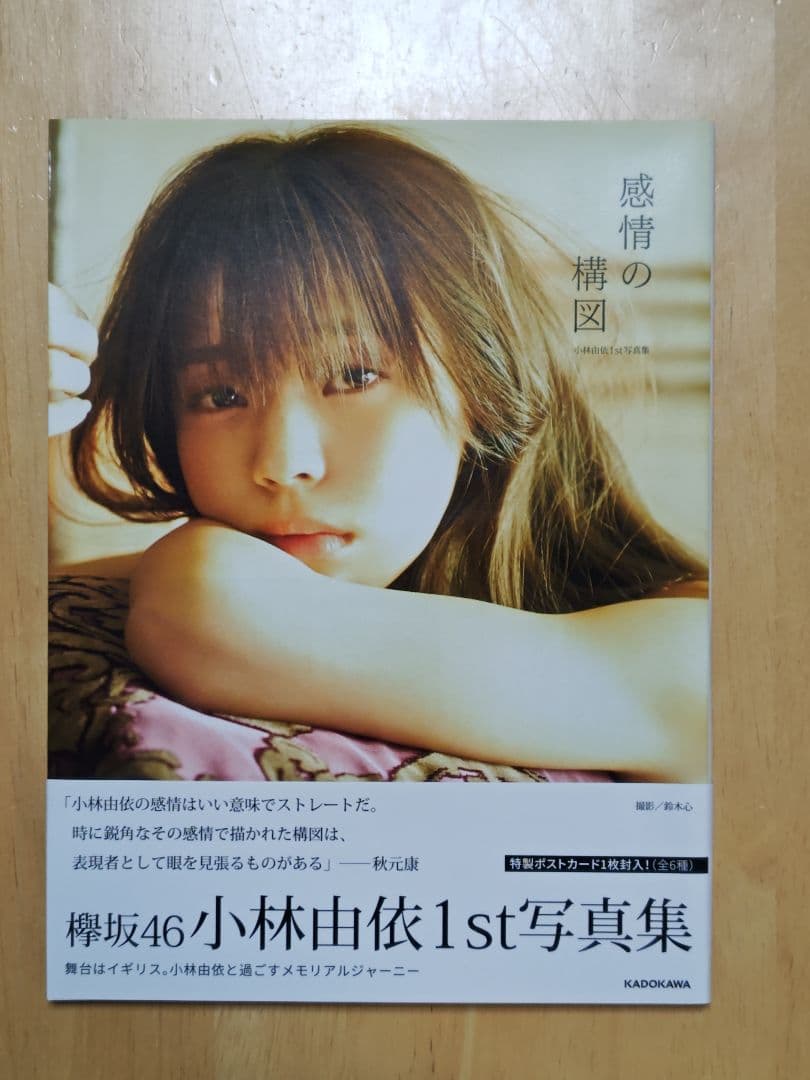 小林由依 1st写真集「感情の構図」本誌+アザーカット集+特典セット
