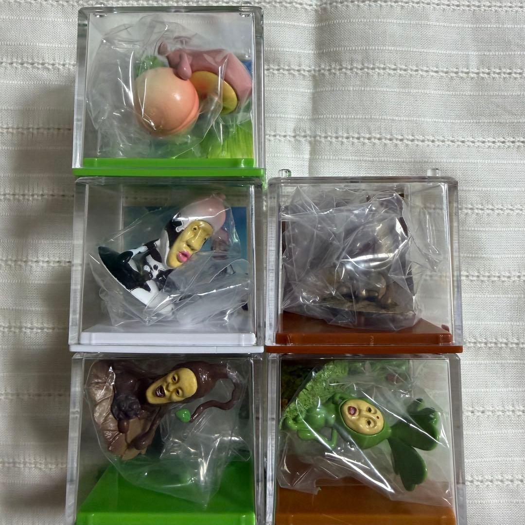 こびとづかん　こびと採取BOXフルコンプ　全5種