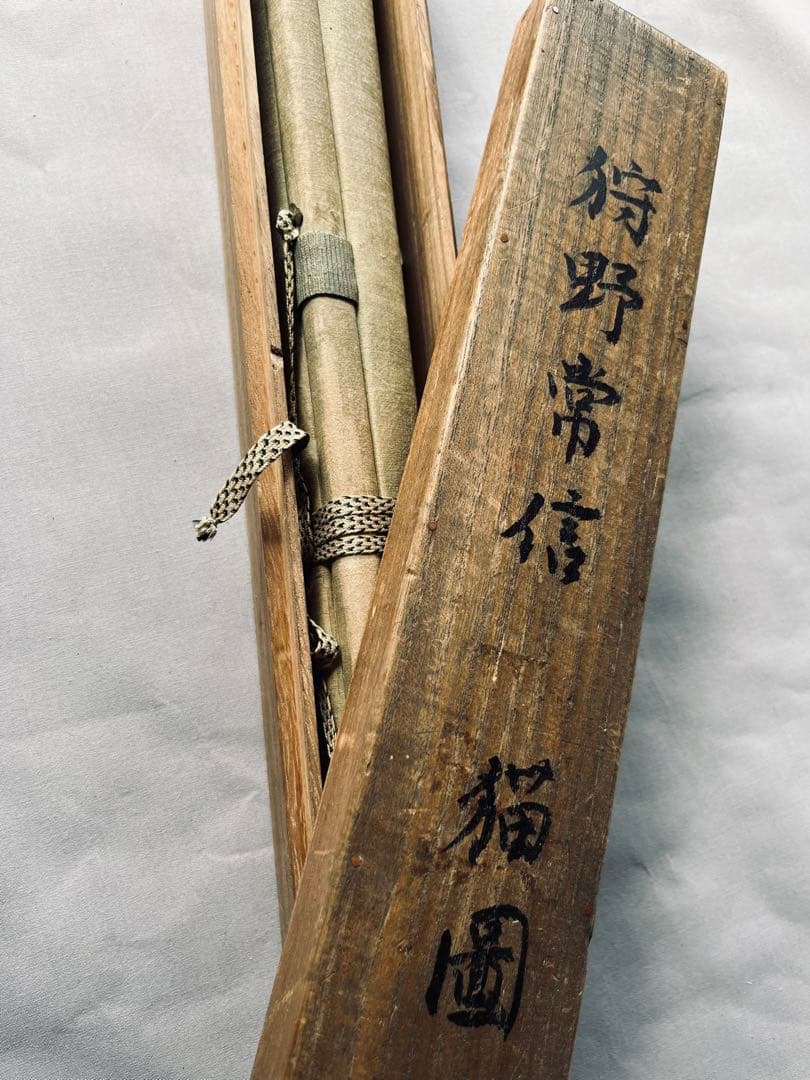 掛け軸　狩野常信 猫圖