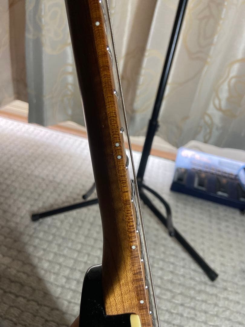 gfc guitar Factory ヘッドレスギター strandberg