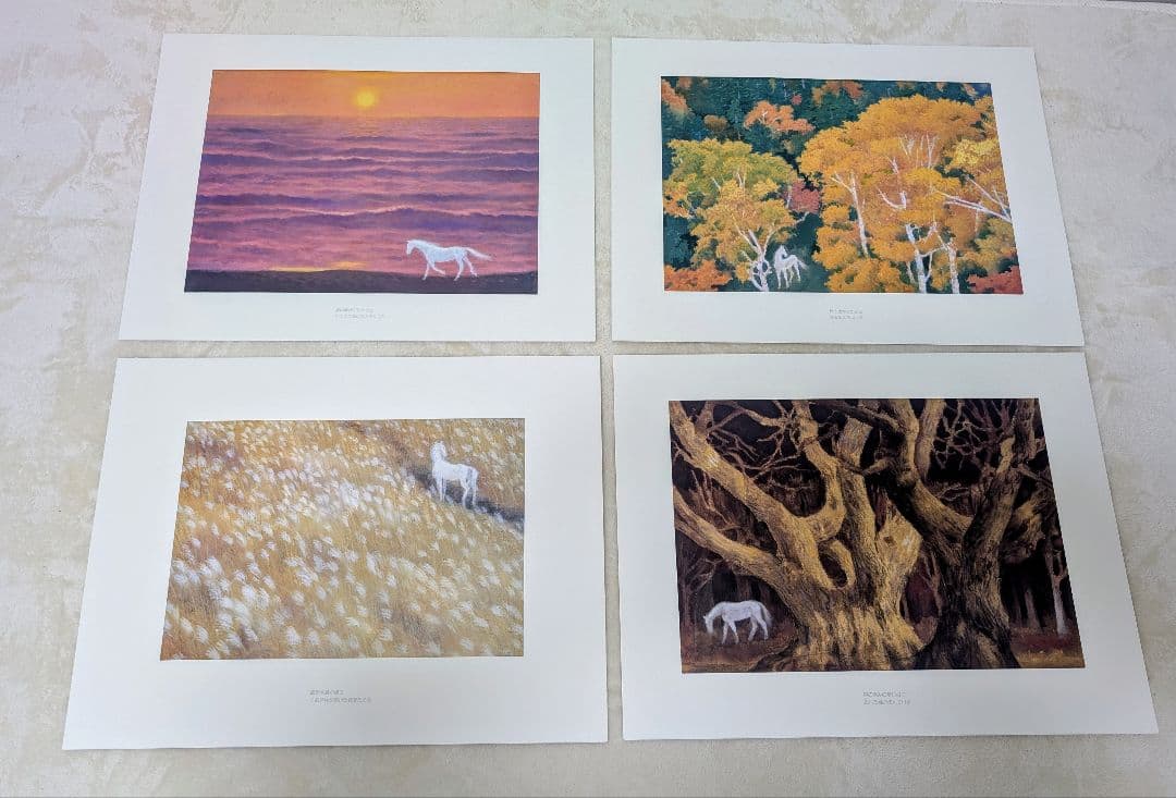 東山魁夷 作品集 『白馬幻想』日本経済新聞社 1990年