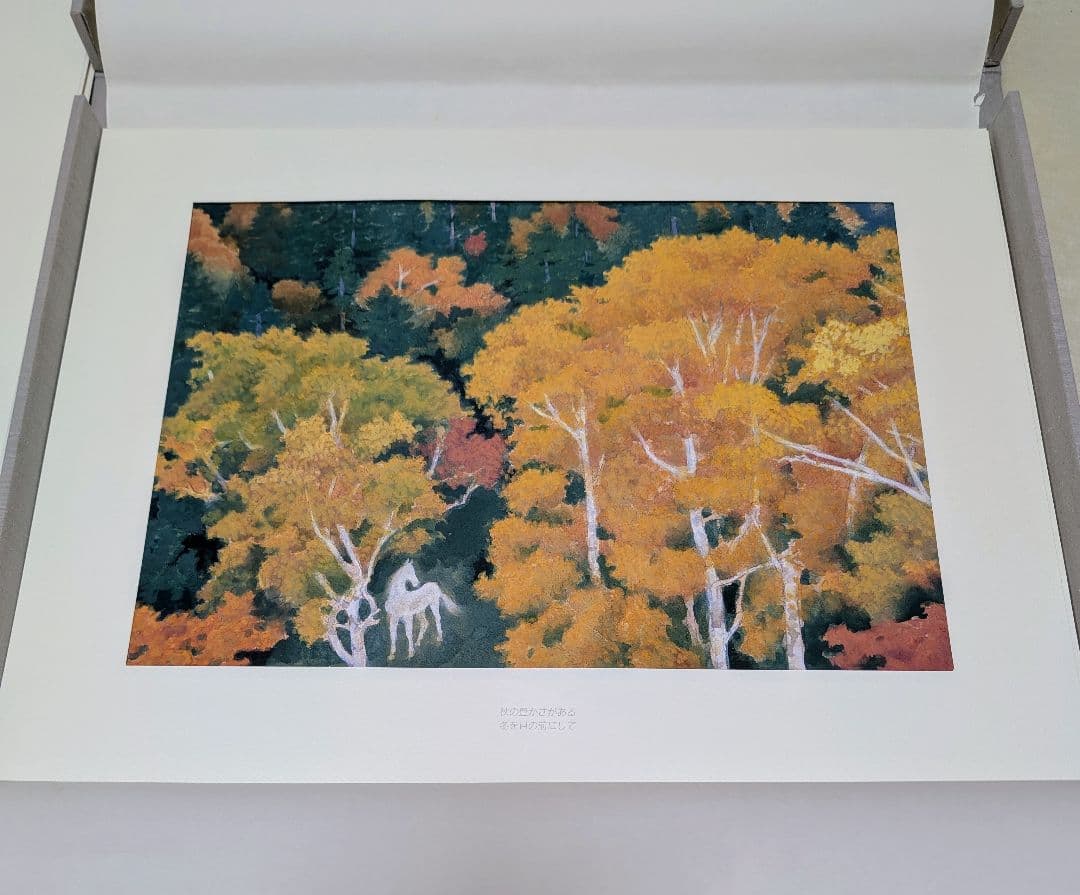 東山魁夷 作品集 『白馬幻想』日本経済新聞社 1990年