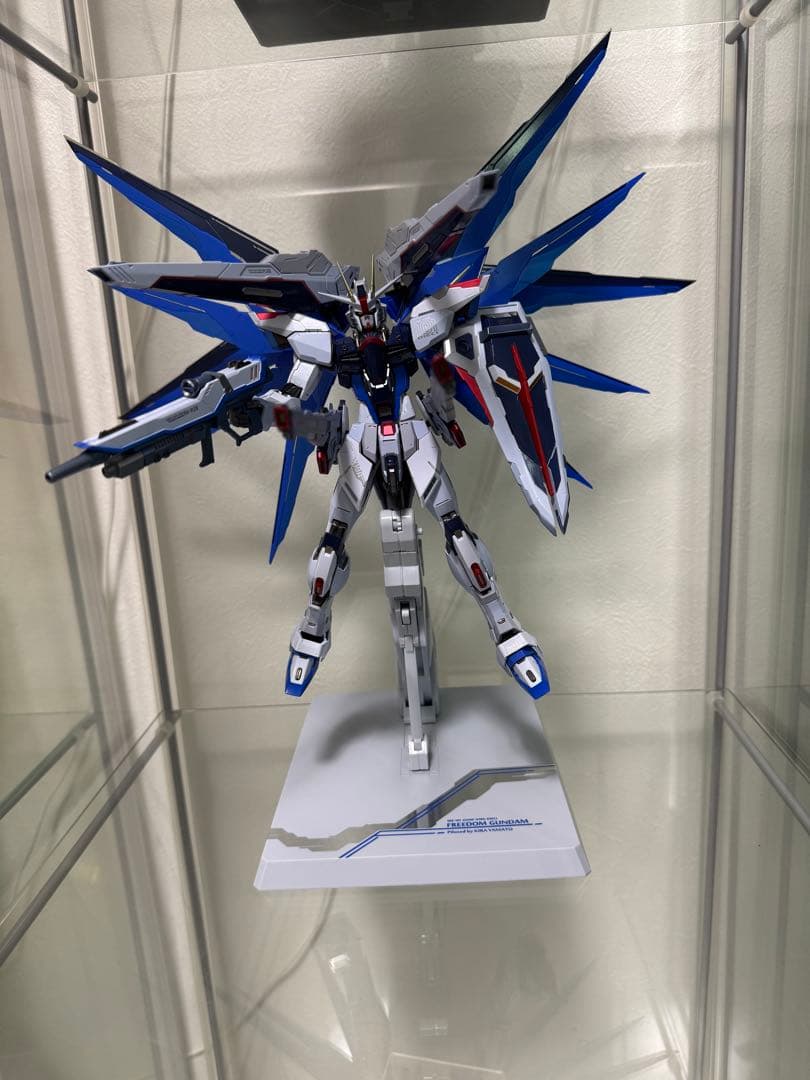 メタルビルドフリーダムガンダム CONCEPT2  SPARKLE