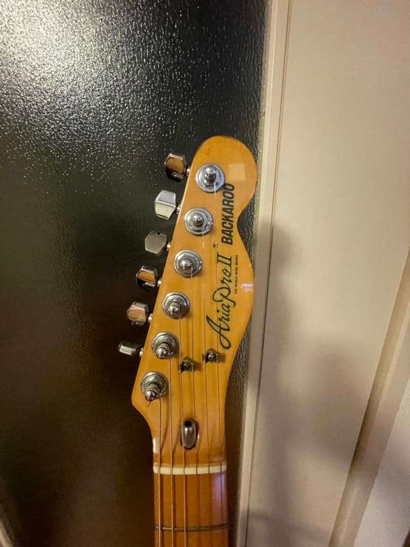 ビンテージCUNIFE搭載 Ariapro2 thinlineタイプ