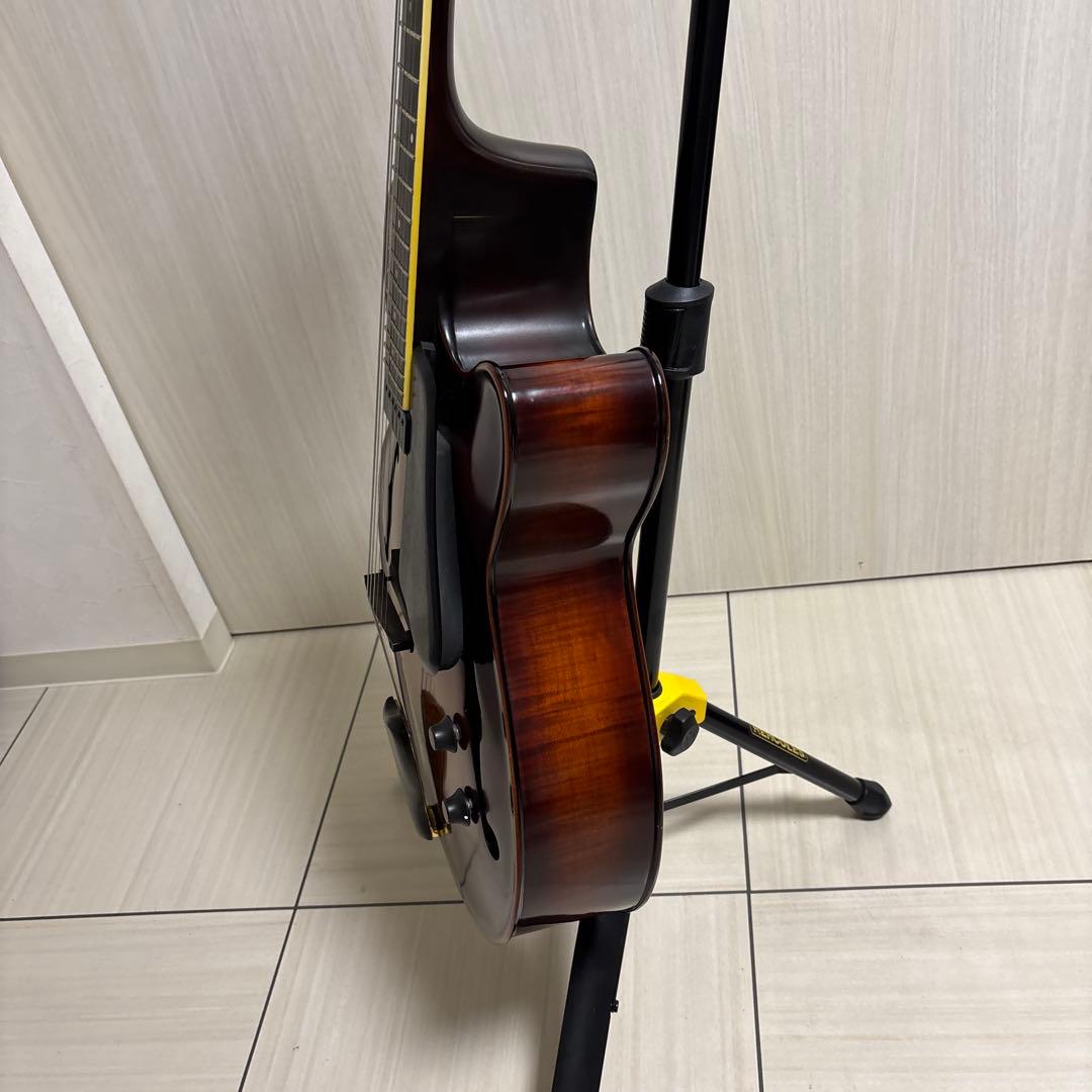 専用　Landscape ar1 ハードケース付き　フルアコ