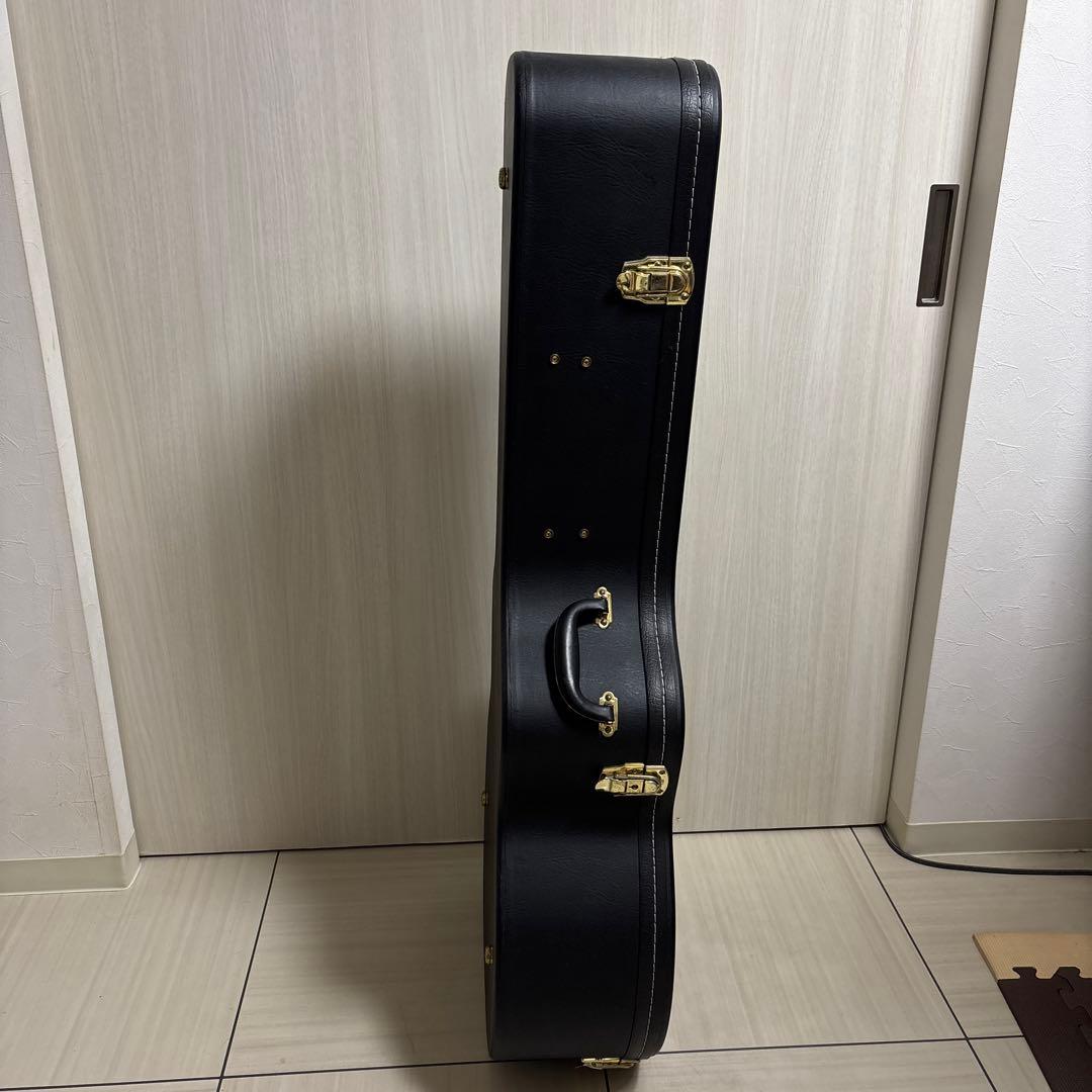 専用　Landscape ar1 ハードケース付き　フルアコ