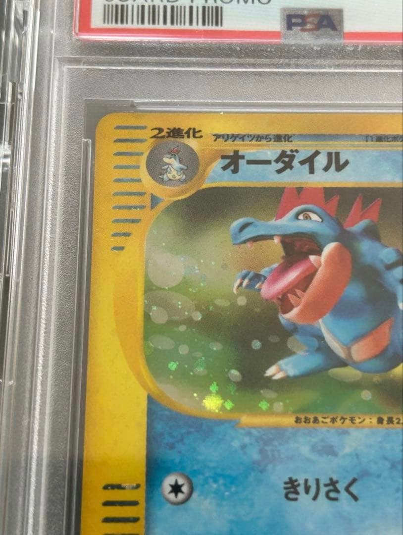 PSA10鑑定済オーダイル(トリプルゲットキャンペーン)【P】{016/P}