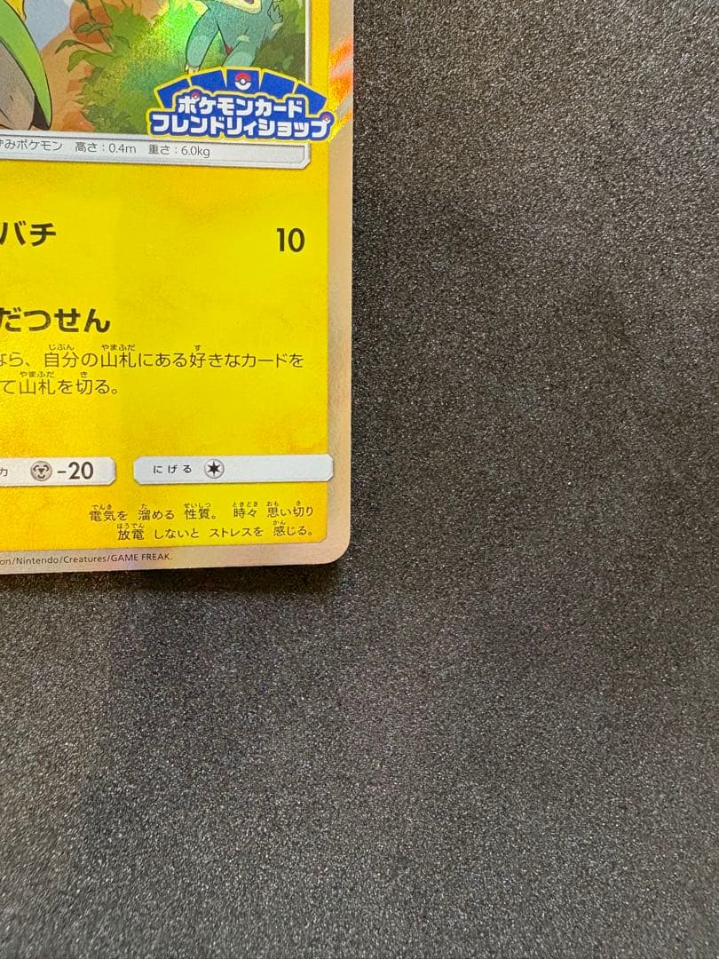 ピカチュウ　フレンドリィショップ