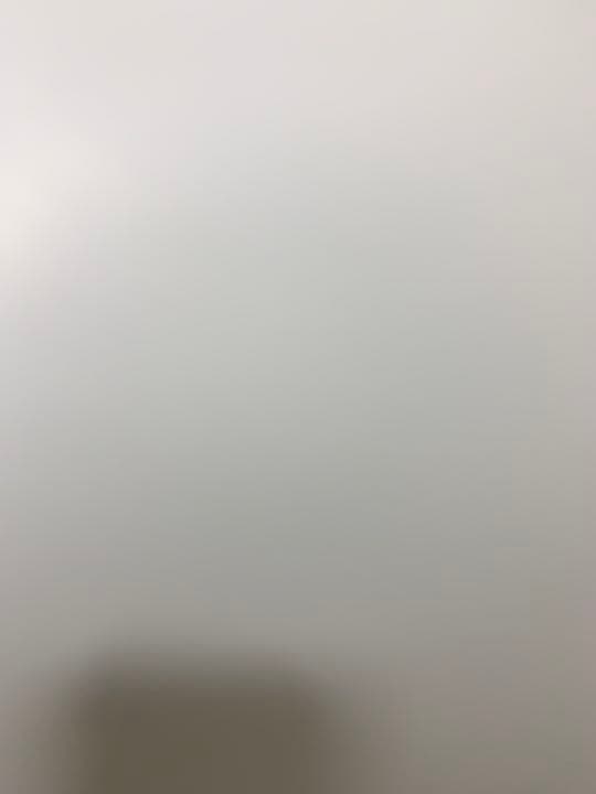 椎名林檎　発育ステータス　御起立ジャポン　非売品　ポスター